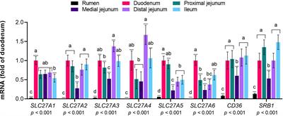 Characterization of genes and proteins involved in the absorption of long-chain fatty acids in the gastrointestinal tract of cattle